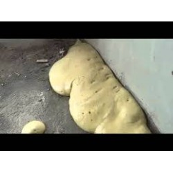 ISOMAT INJECT PU 820 